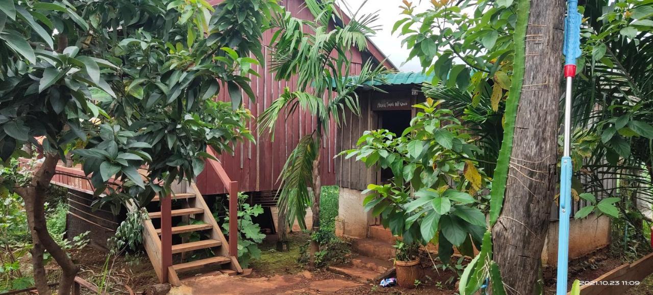 Lodge Tree Trails & Offers Jungle Trekk-scooter For